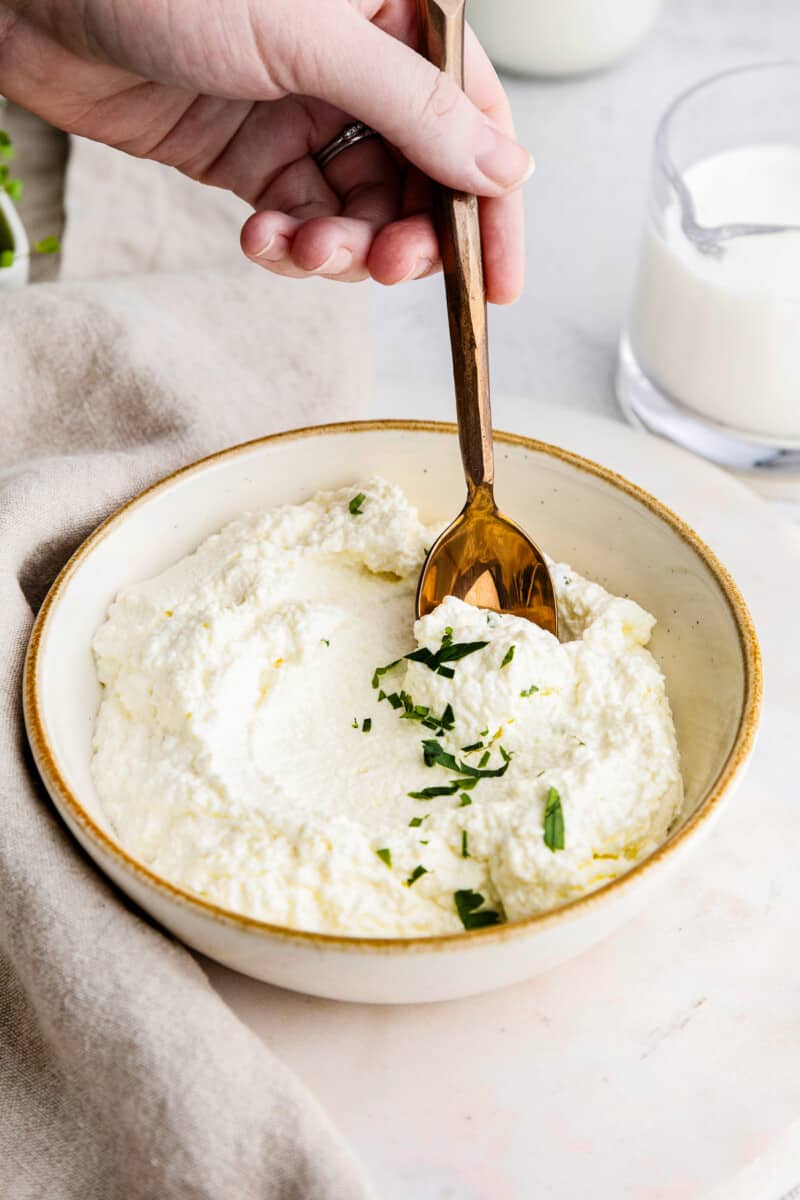 Homemade Ricotta Cheese  Ricotta Recipe  Recipe - 65