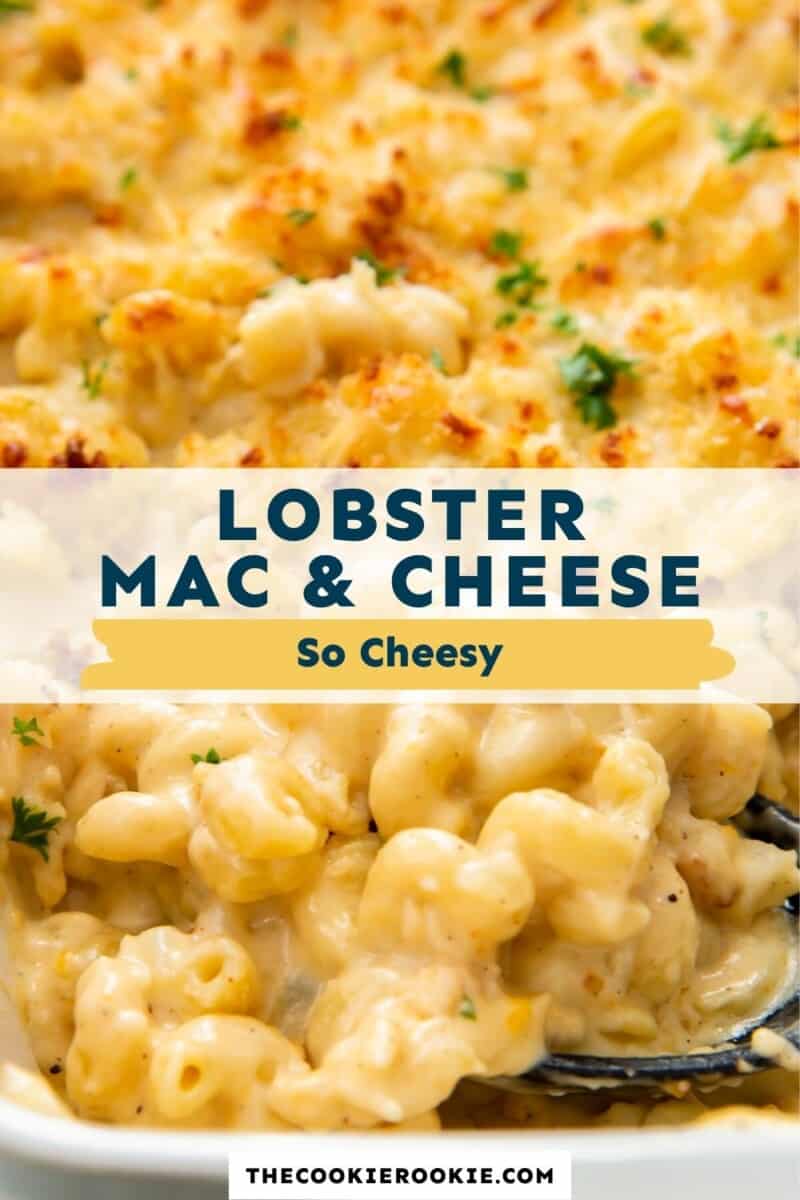 lobster mac and cheese pinterest