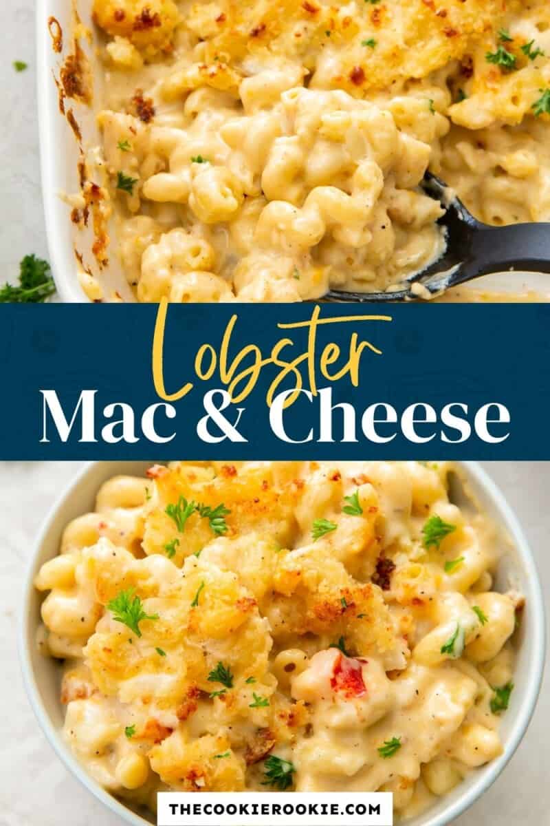 lobster mac and cheese pinterest