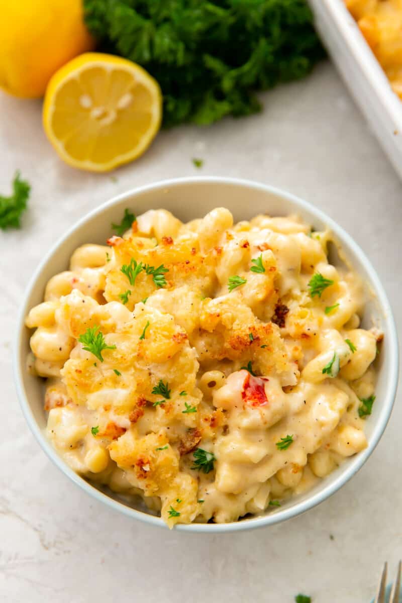 white bowl with lobster mac and cheese
