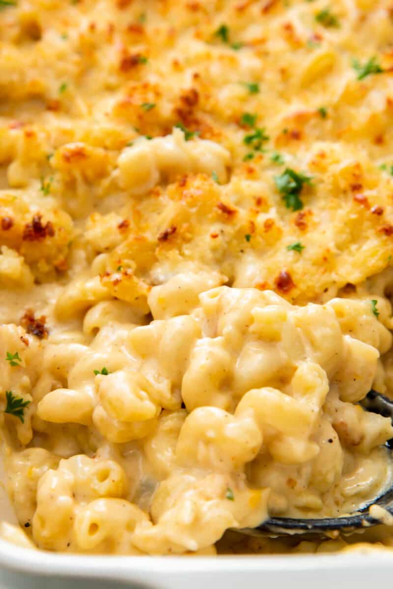 up close casserole dish with creamy lobster mac and cheese