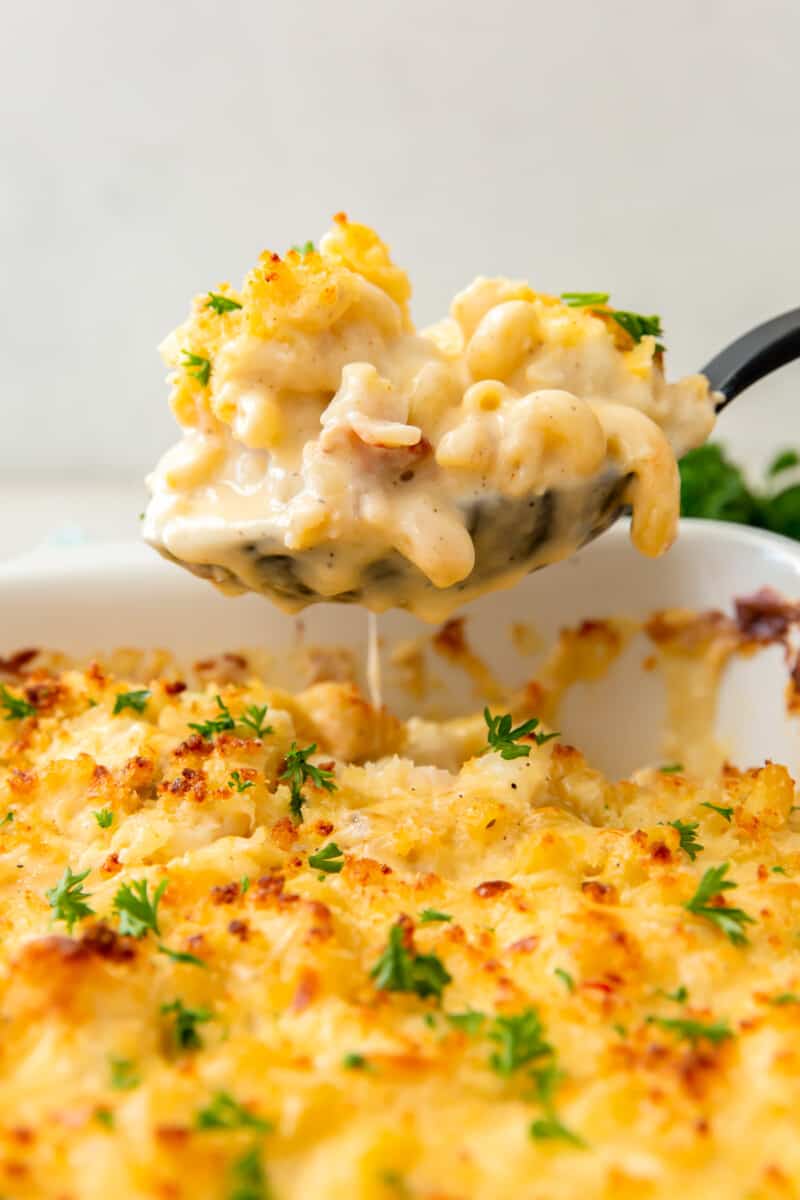serving spoon lifting up lobster mac and cheese