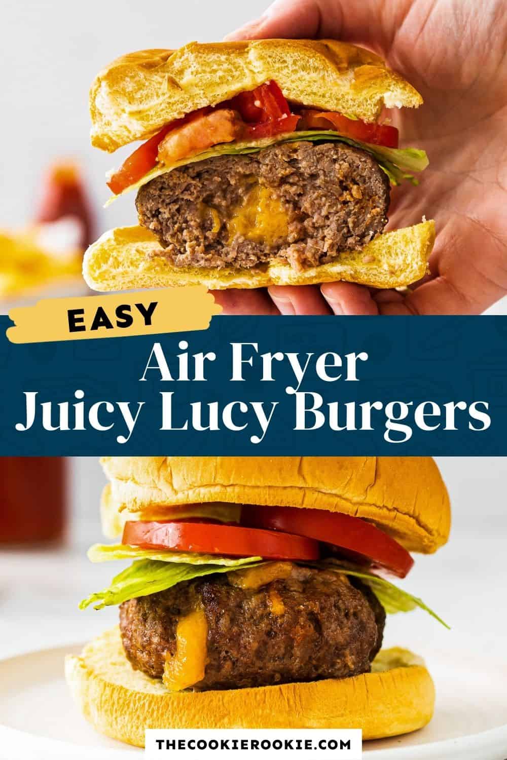 Air Fryer Juicy Lucy Cheeseburgers (Cheese Stuffed) Recipe The Cookie