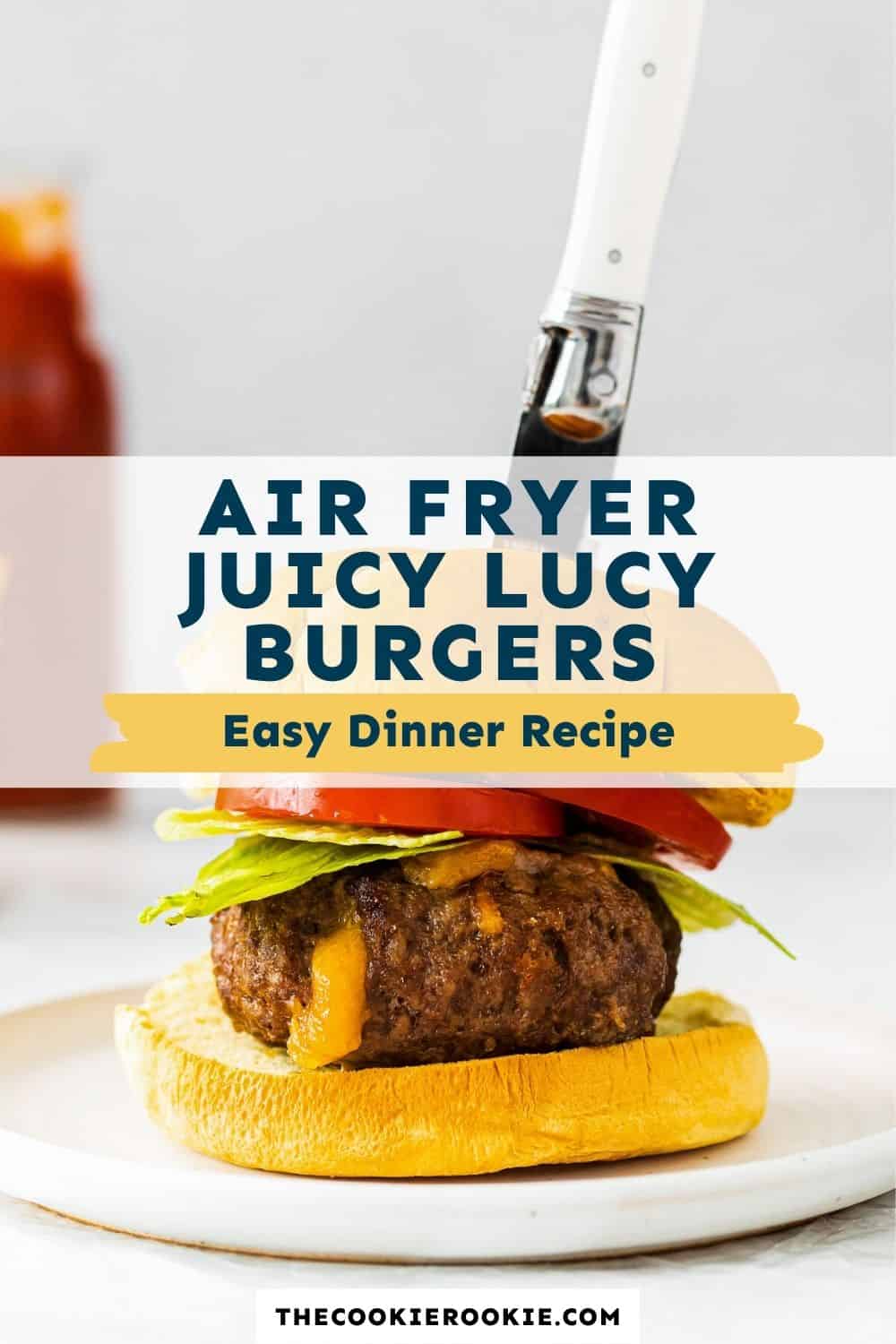 Air Fryer Juicy Lucy Cheeseburgers (Cheese Stuffed) Recipe The Cookie Rookie®