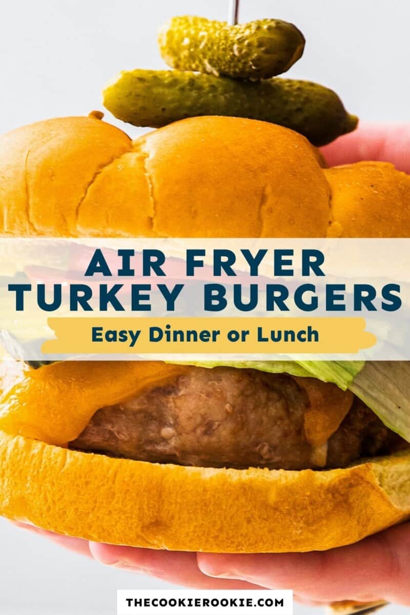 air fryer turkey burgers pinterest