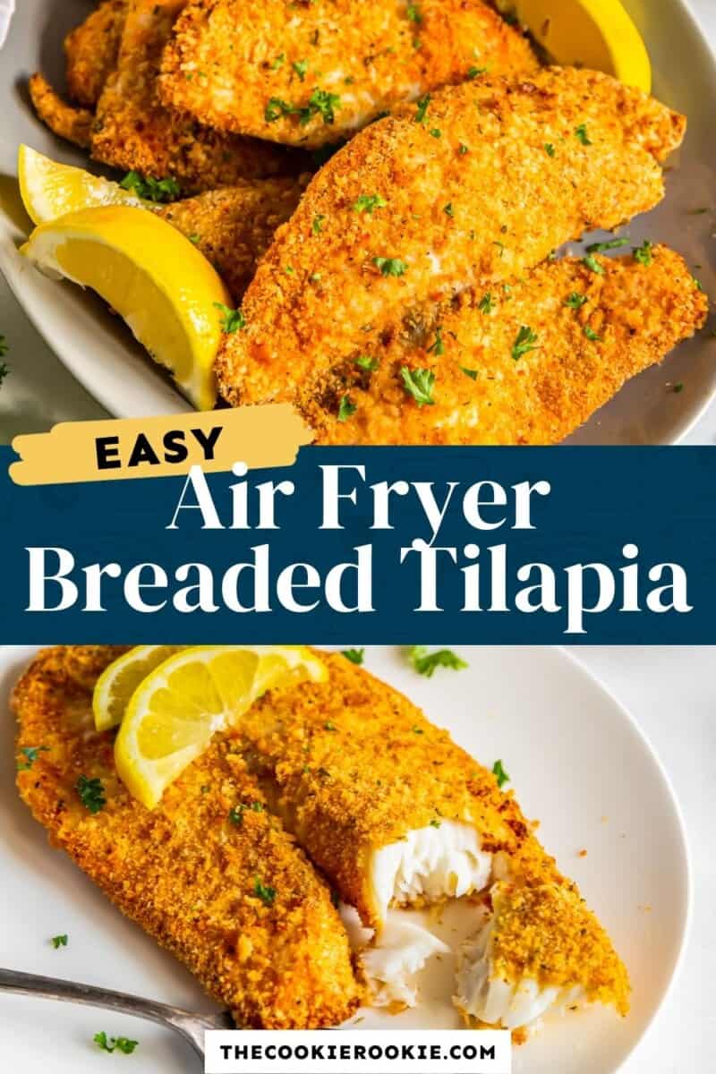 air fryer breaded tilapia pinterest