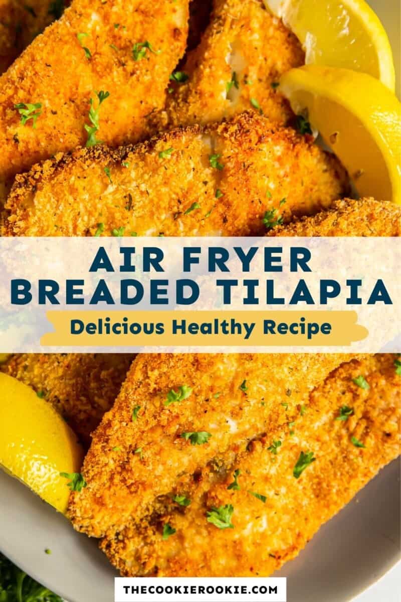 air fryer breaded tilapia pinterest