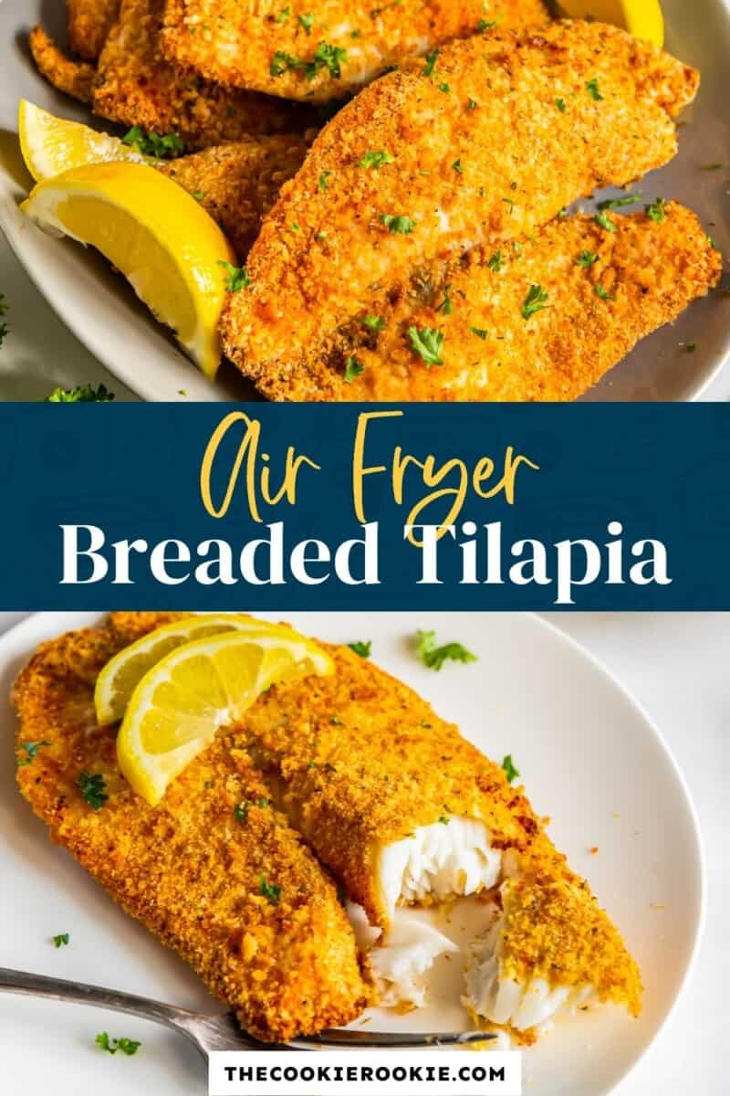 air fryer breaded tilapia pinterest