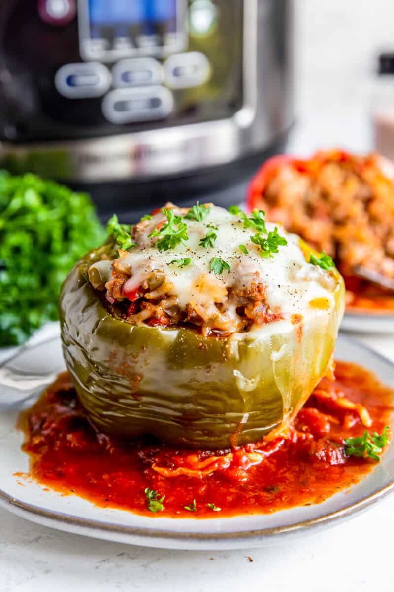 crockpot stuffed pepper with sauce on a plate