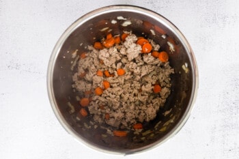 browned ground turkey and vegetables in instant pot