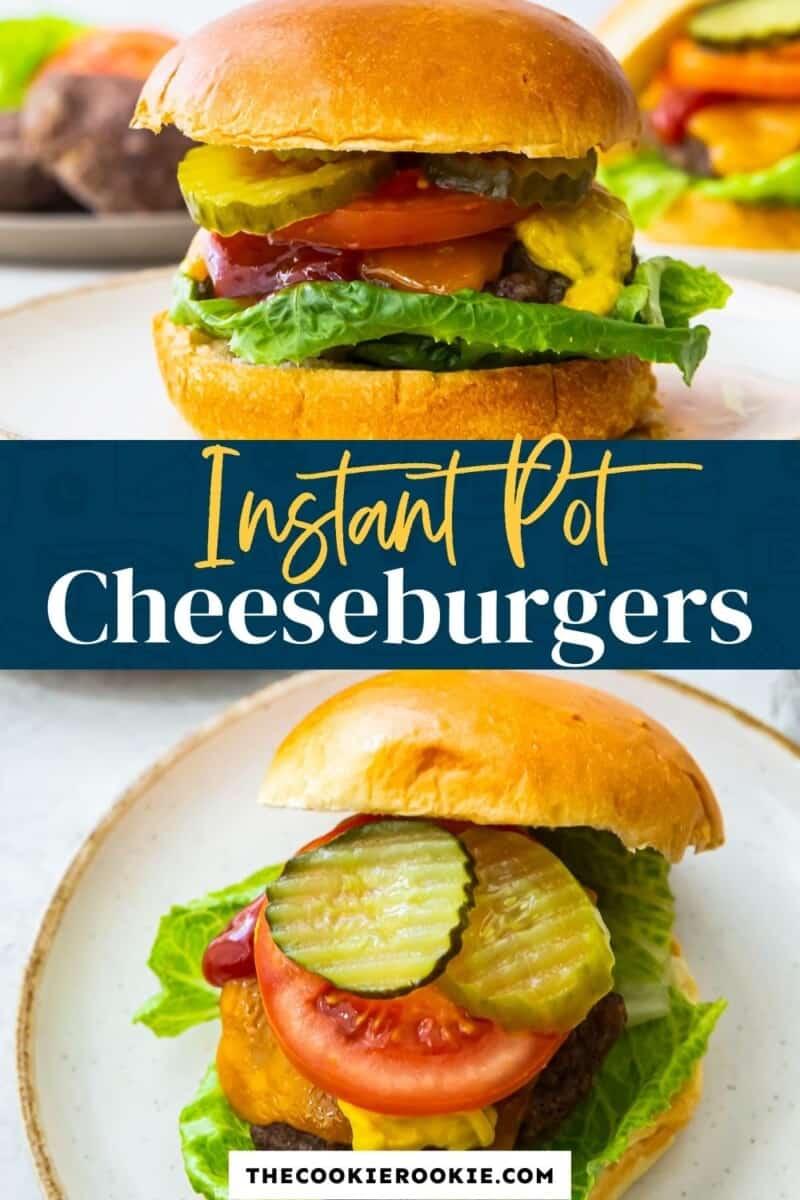 Instant Pot Hamburgers - The Cookie Rookie®