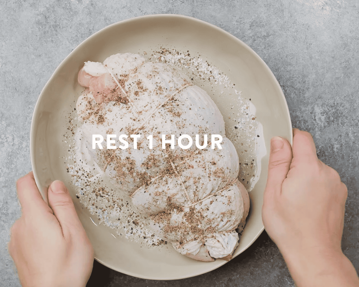 Seasoned raw turkey breast tied with twine resting on a plate