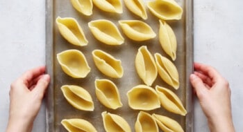 cooked pasta shells on a baking sheet