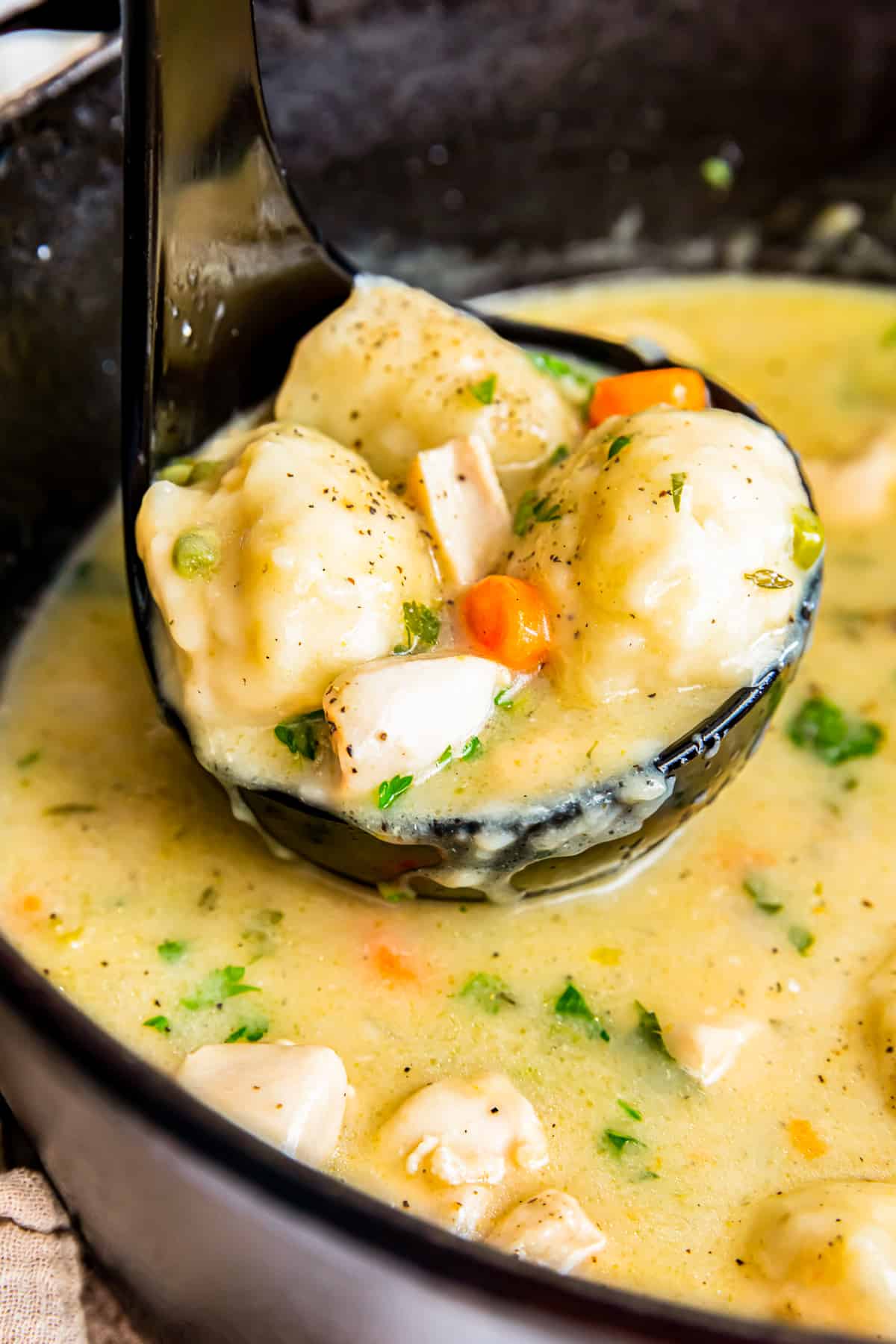 Ladle in a pot full of chicken and dumplings - 15
