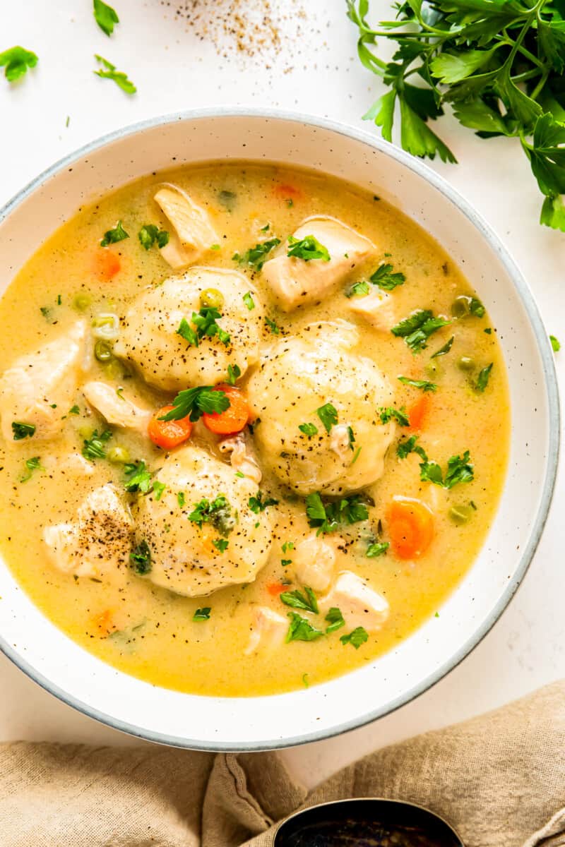 chicken and dumplings in a white bowl