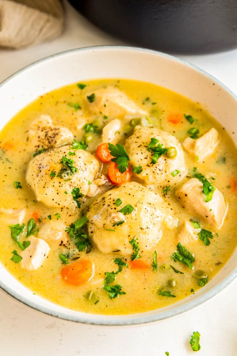 chicken and dumplings in a white bowl