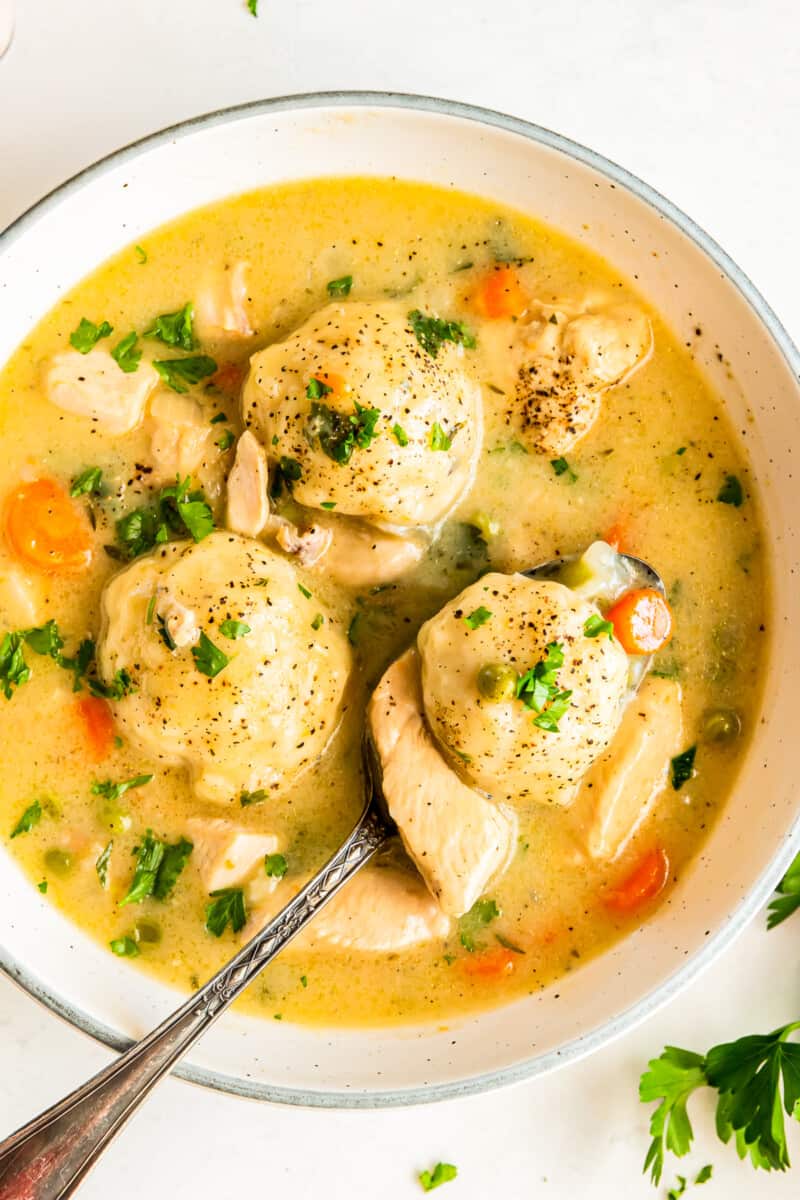 chicken and dumplings in a white bowl with a spoon