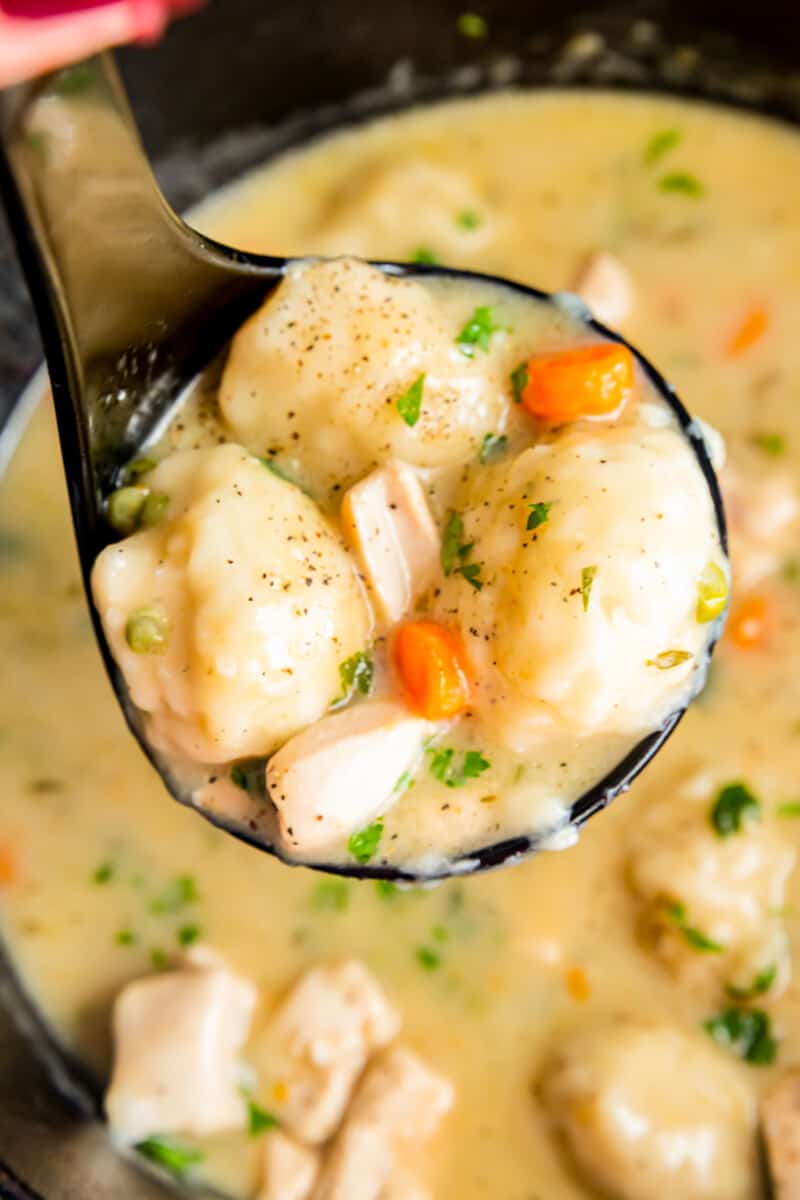 ladle in a pot full of chicken and dumplings