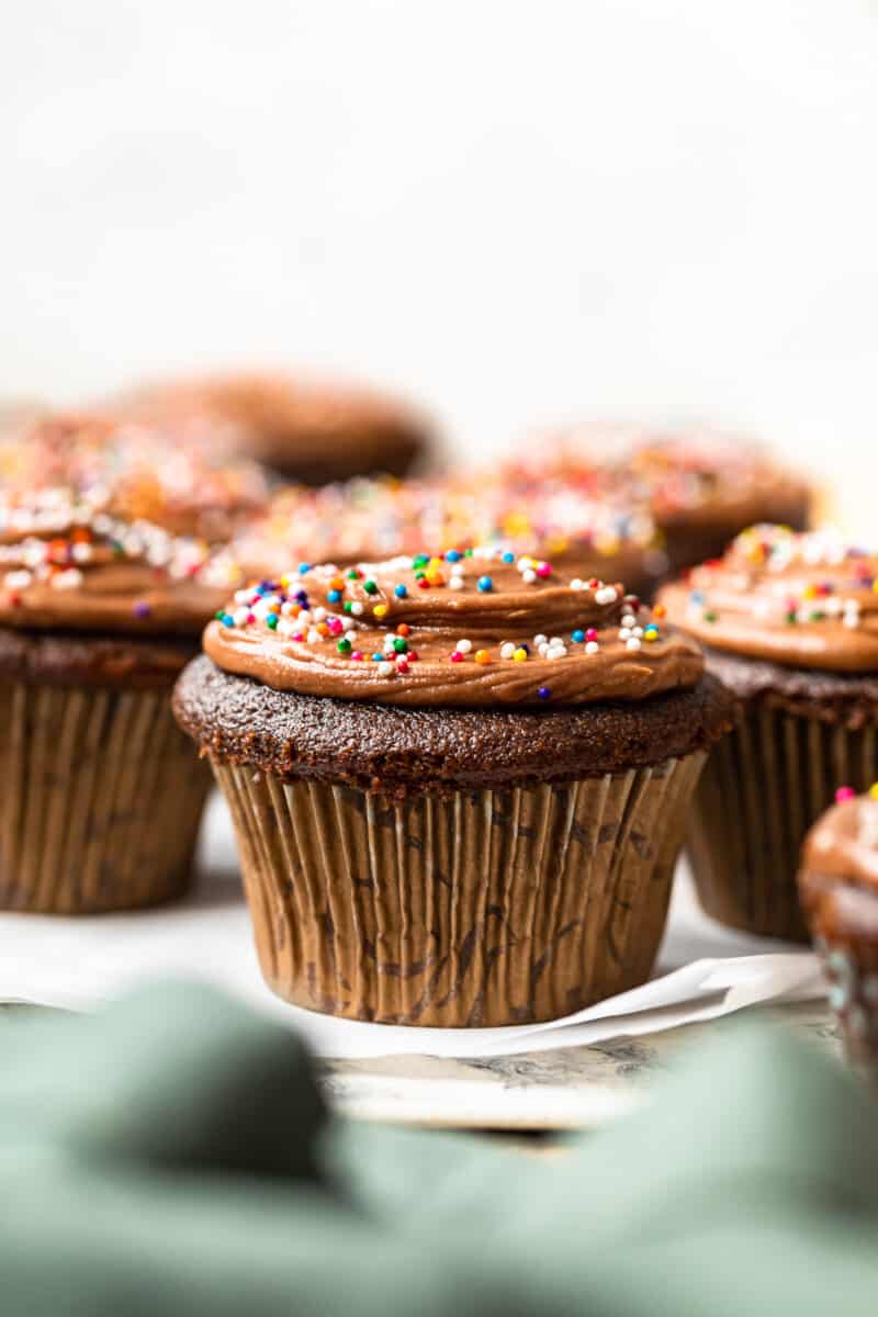 chocolate cupcakes topped with chocolate frosting and sprinkles