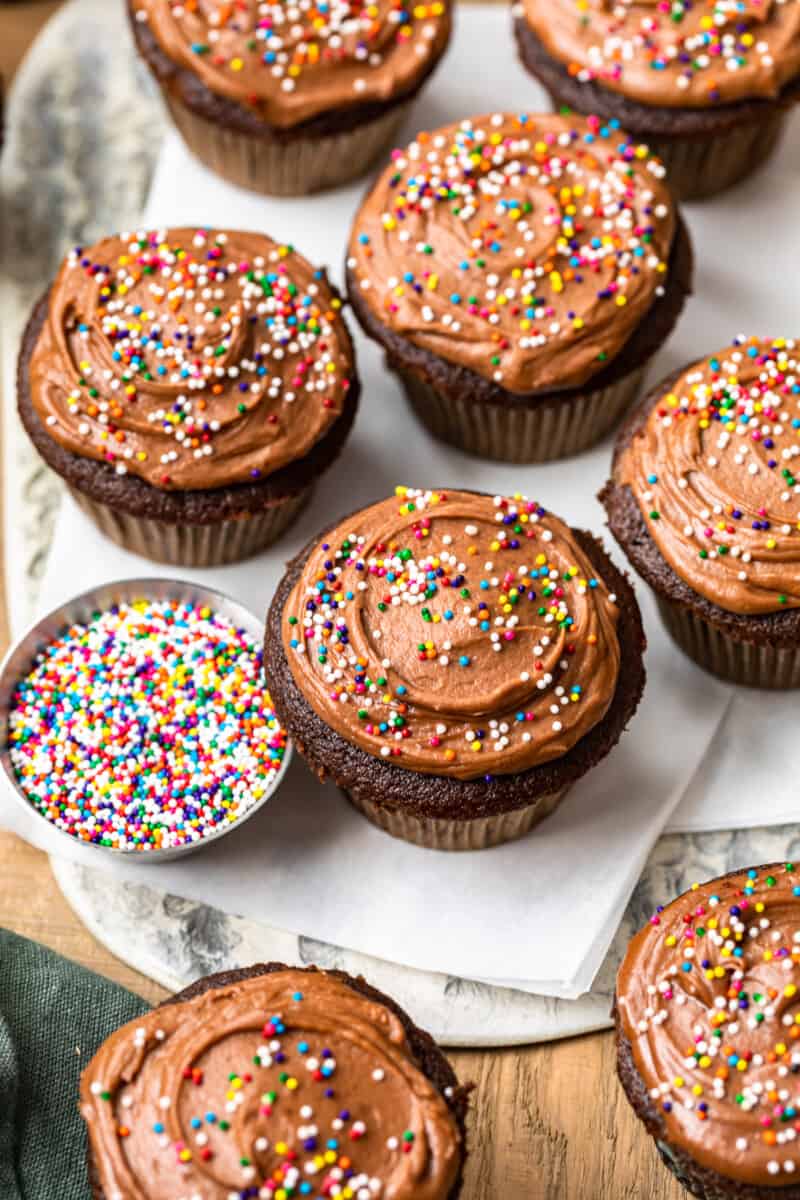 chocolate cupcakes topped with chocolate frosting and sprinkles