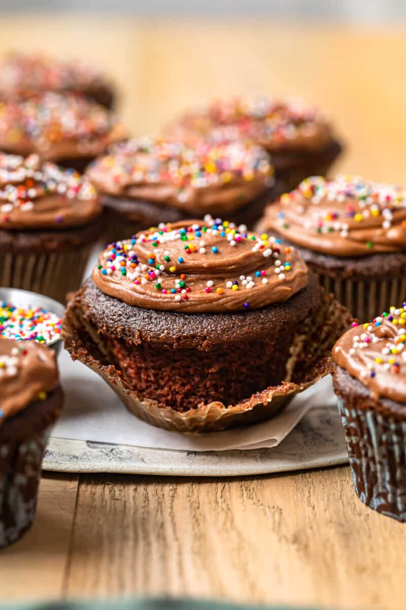 chocolate cupcakes topped with chocolate frosting and sprinkles