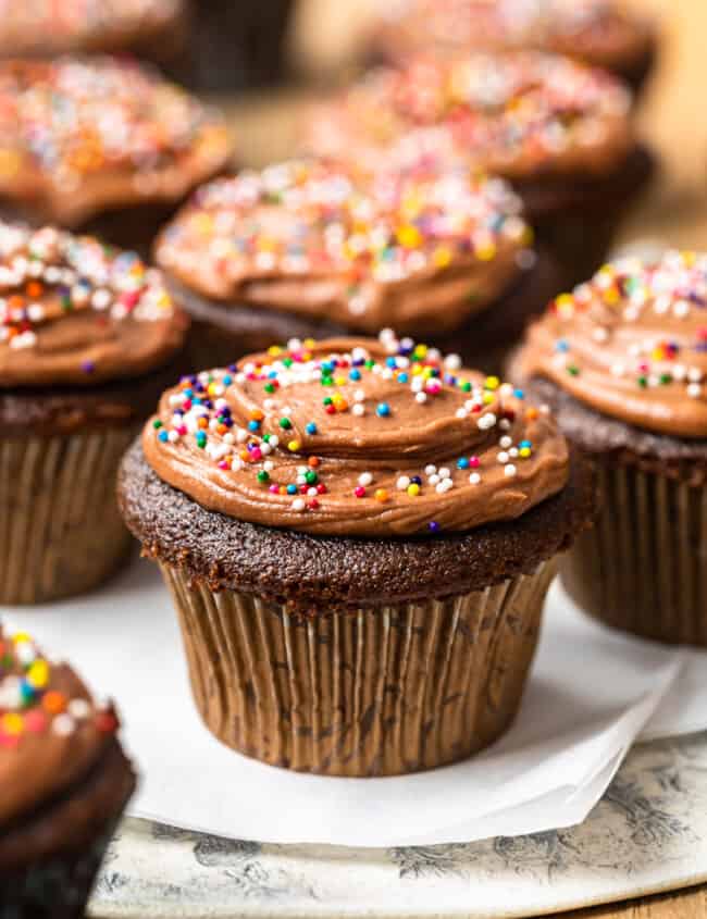chocolate cupcakes topped with chocolate frosting and sprinkles
