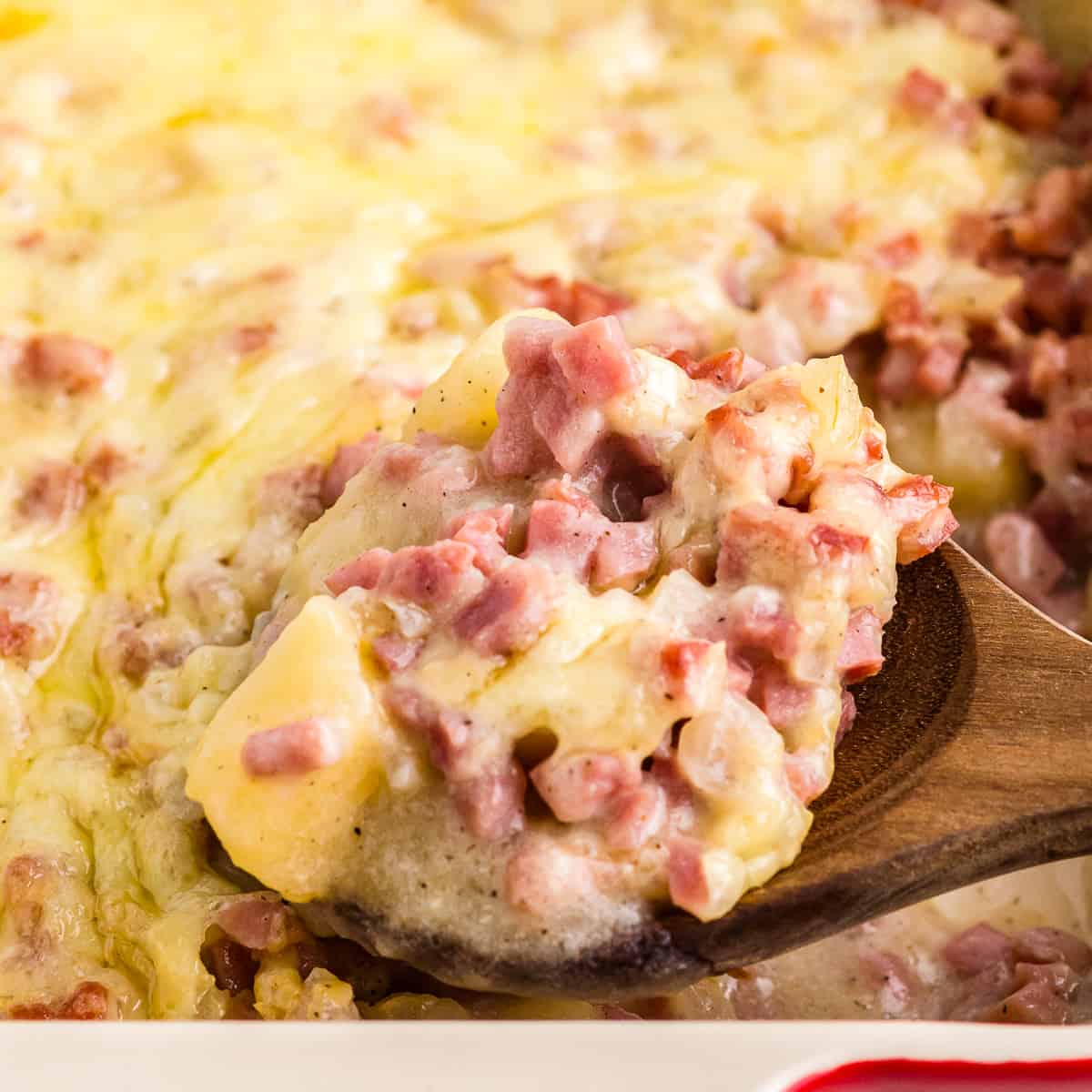 close up on a wooden spoon scooping into a cheesy ham and potato casserole
