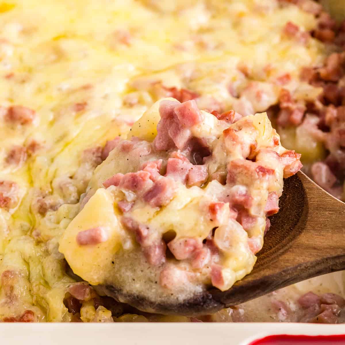 Ham and Potato Casserole Recipe - The Cookie Rookie®