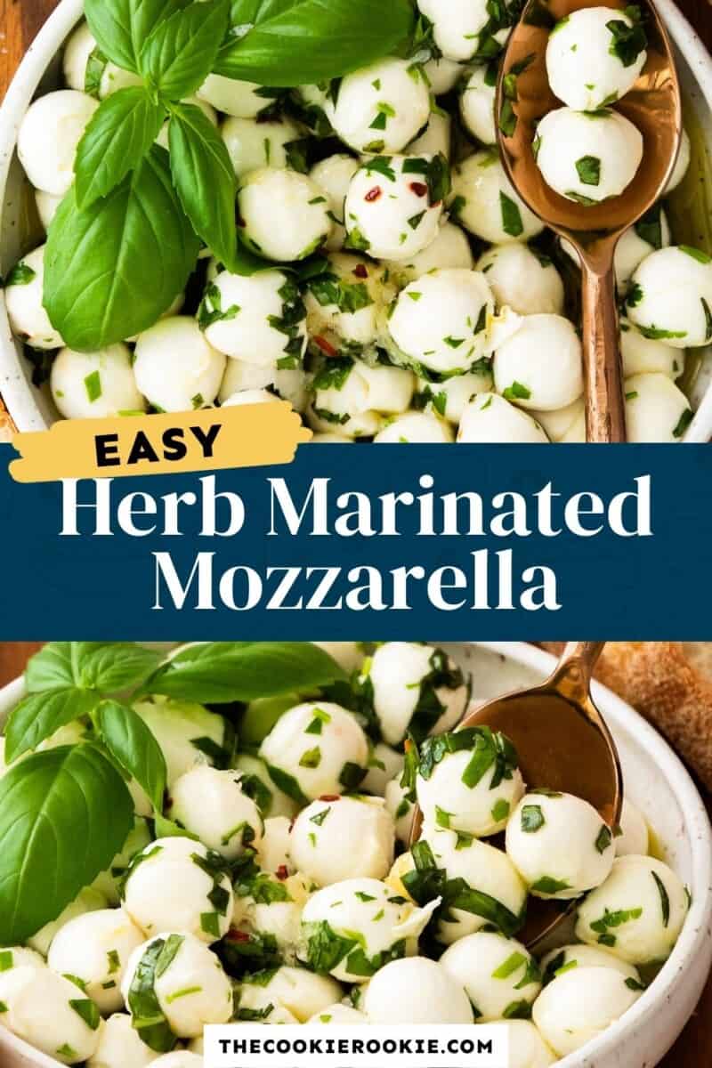 Herb Marinated Mozzarella Recipe - 95