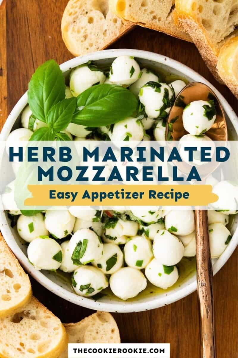 herb marinated mozzarella pinterest