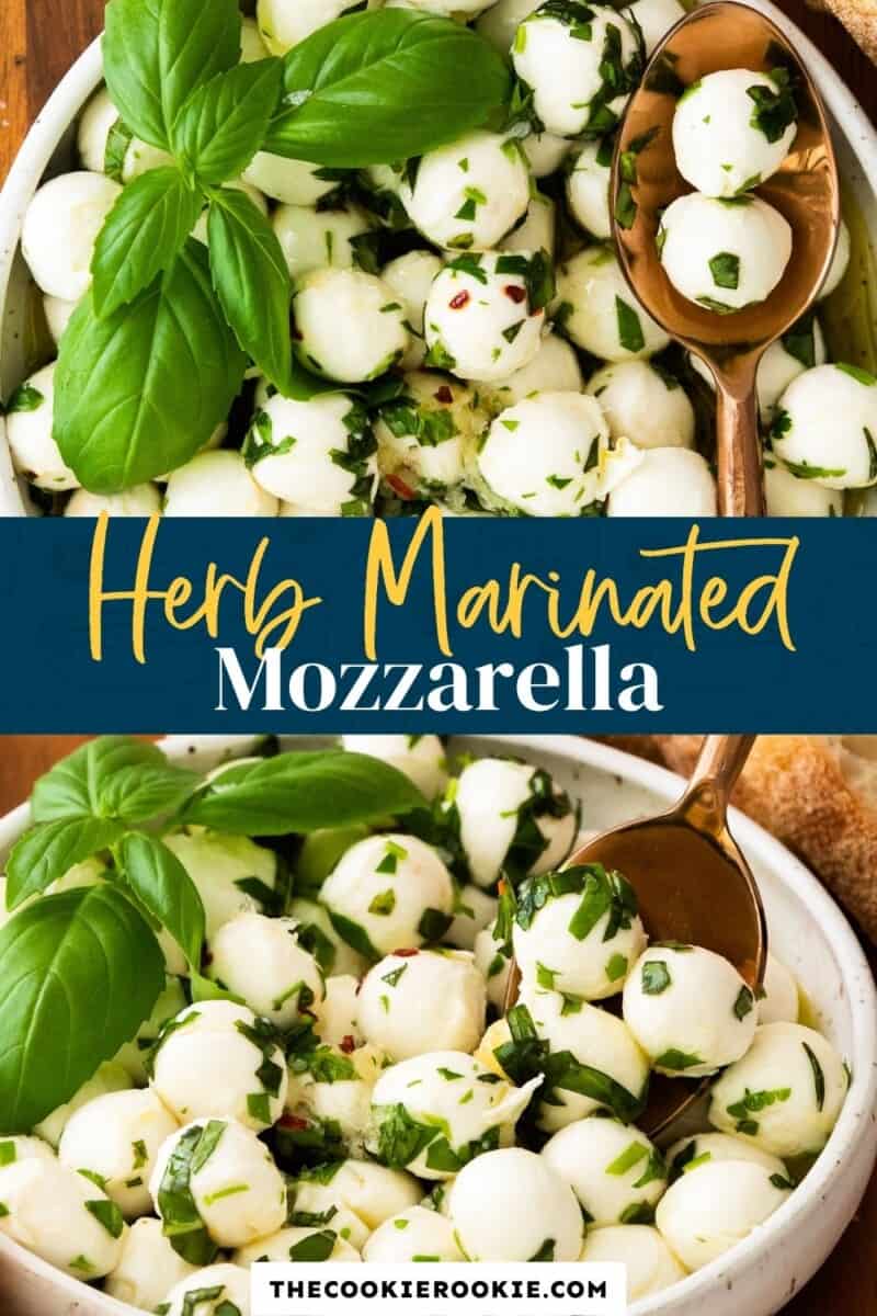 herb marinated mozzarella pinterest