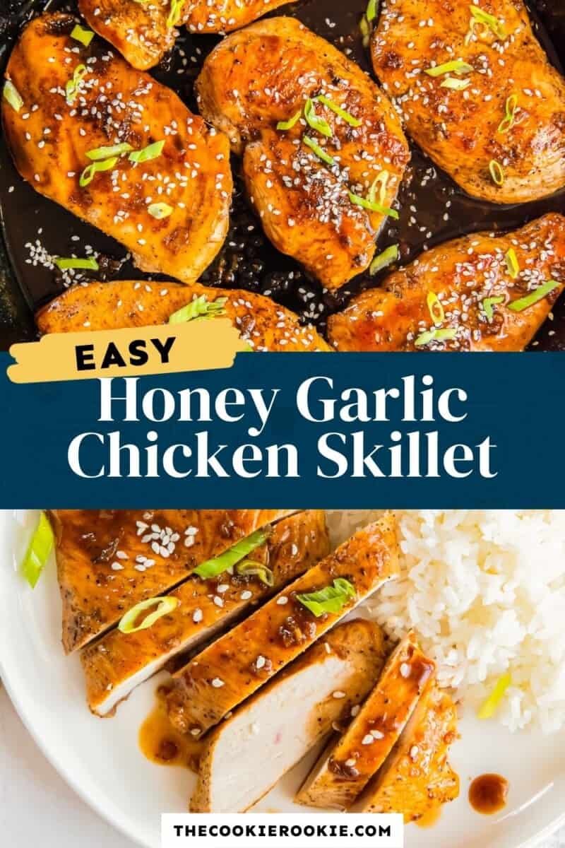 honey garlic chicken breasts pinterest