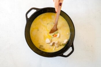 chicken and dumplings soup in a pot with a hand holding a wood spoon