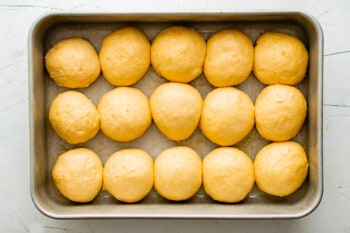 formed sweet potato roll dough before rising in a baking dish
