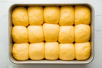 formed sweet potato roll dough after rising in a baking dish