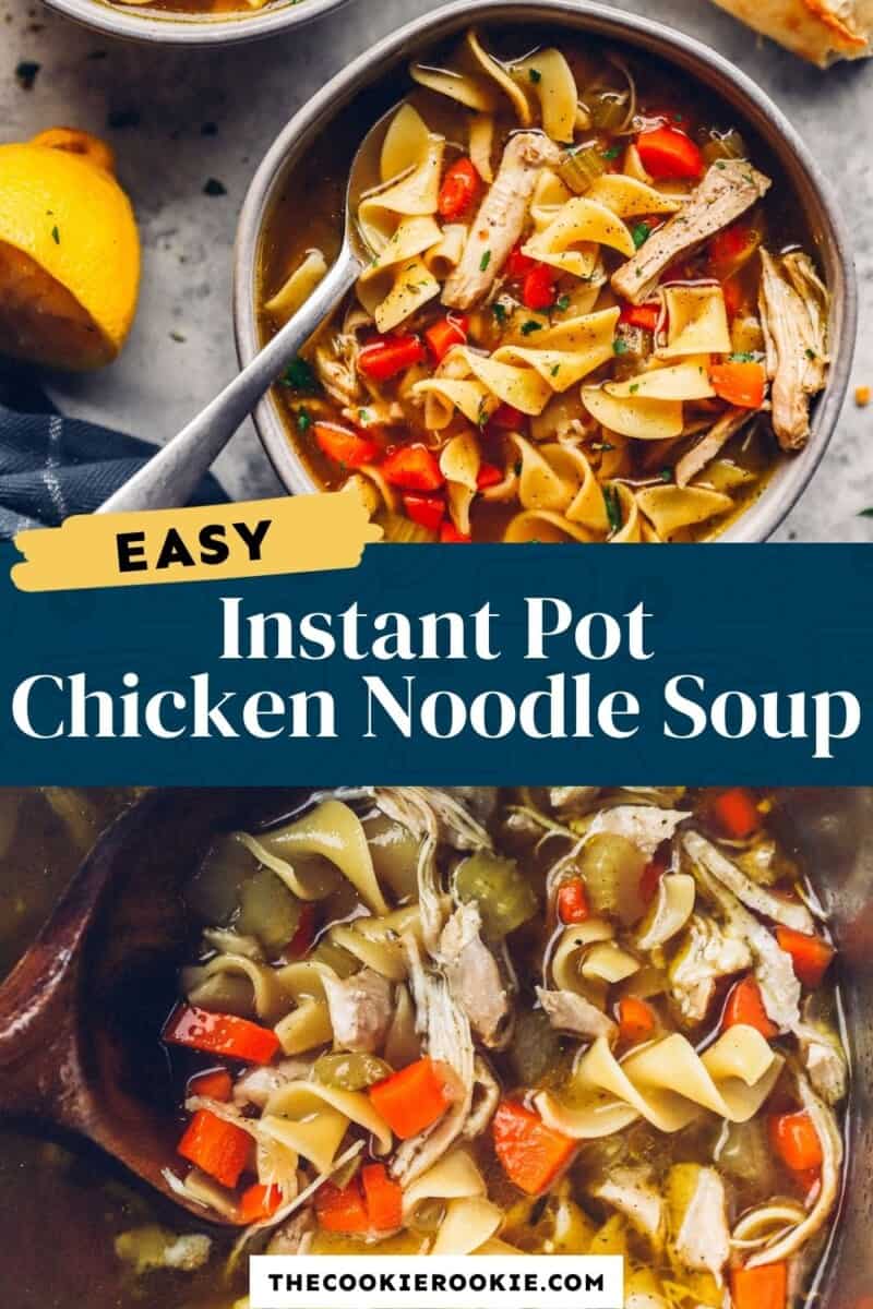 instant pot chicken noodle soup pinterest