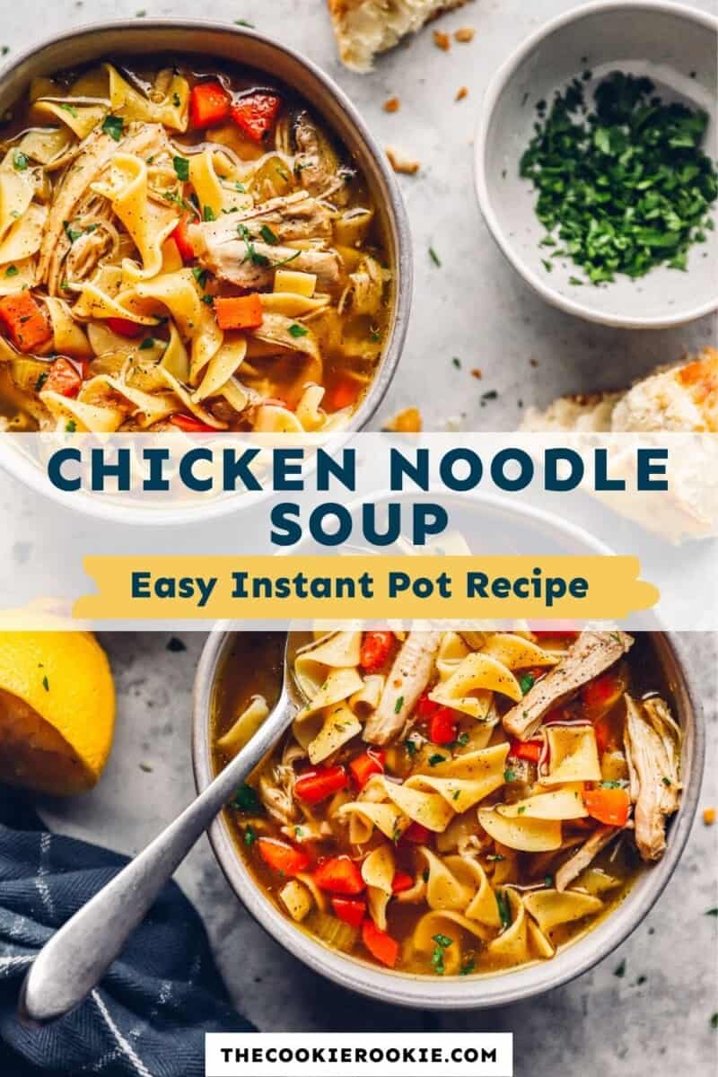 instant pot chicken noodle soup pinterest