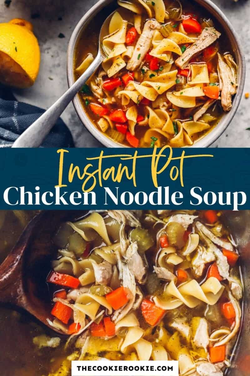 instant pot chicken noodle soup pinterest