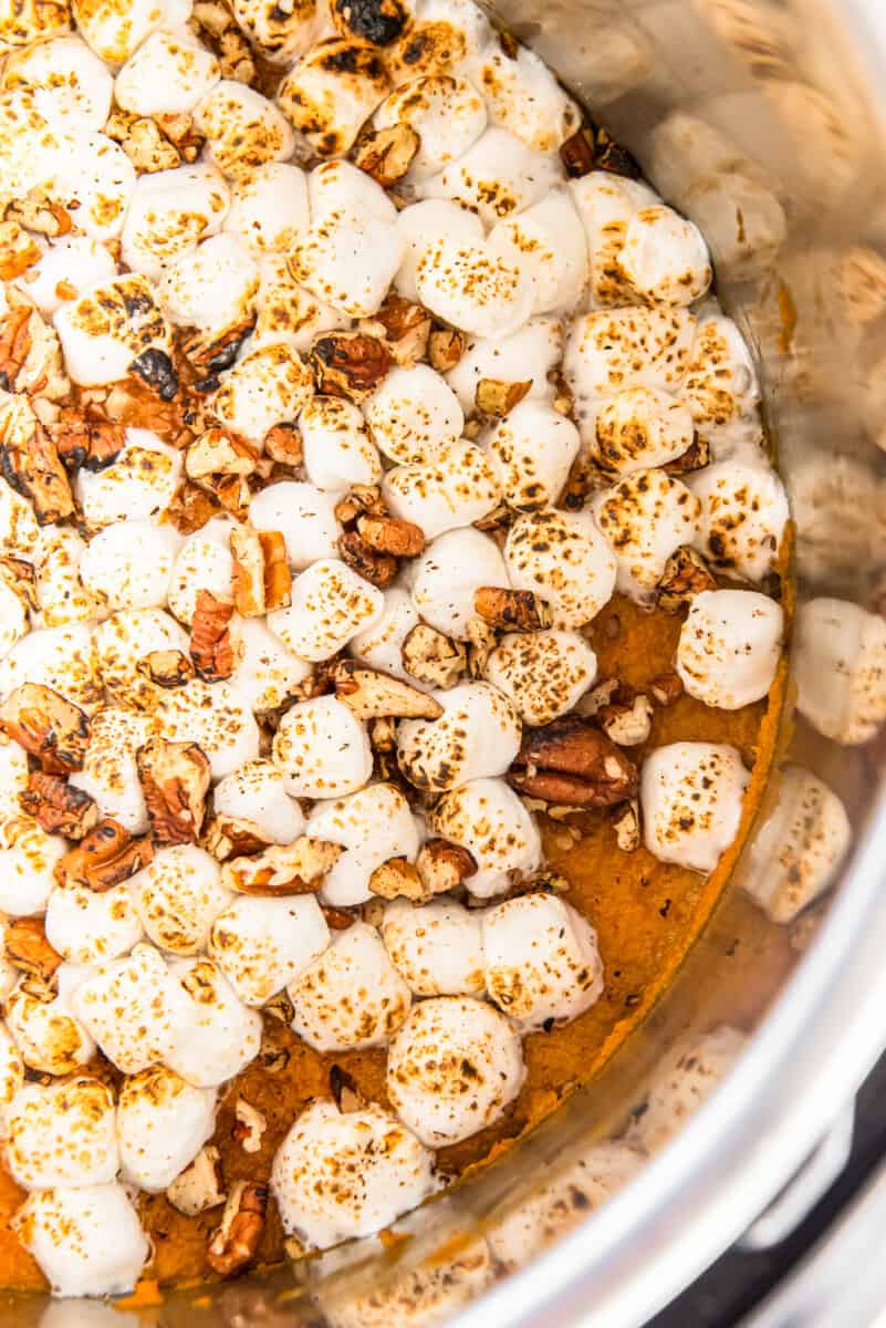 toasted marshmallows and pecans on top of sweet potato casserole