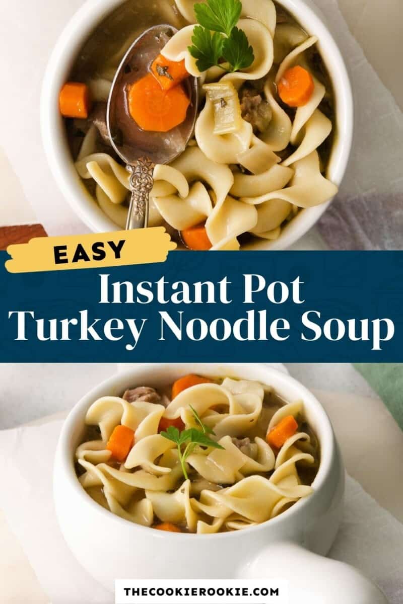 instant pot turkey noodle soup pinterest