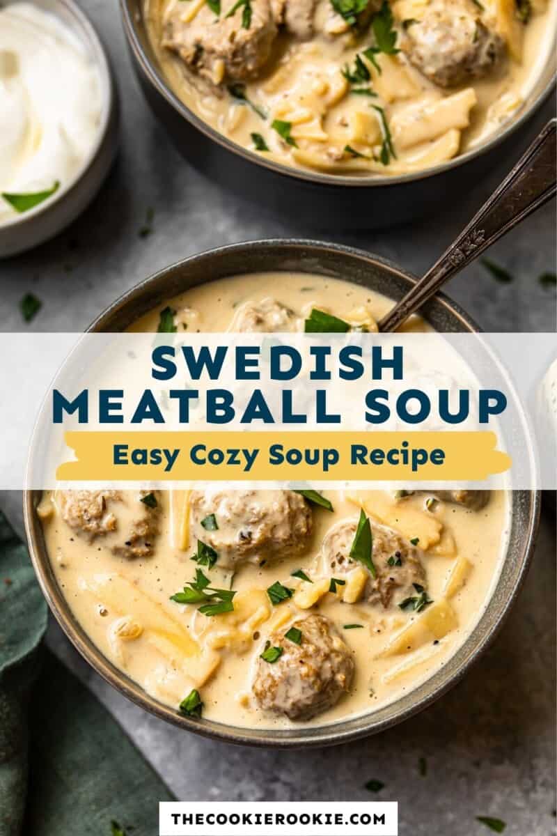 swedish meatball soup pinterest