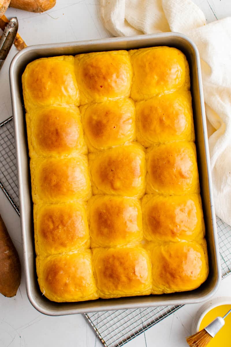 overhead image of sweet potato rolls after baking in a baking dish