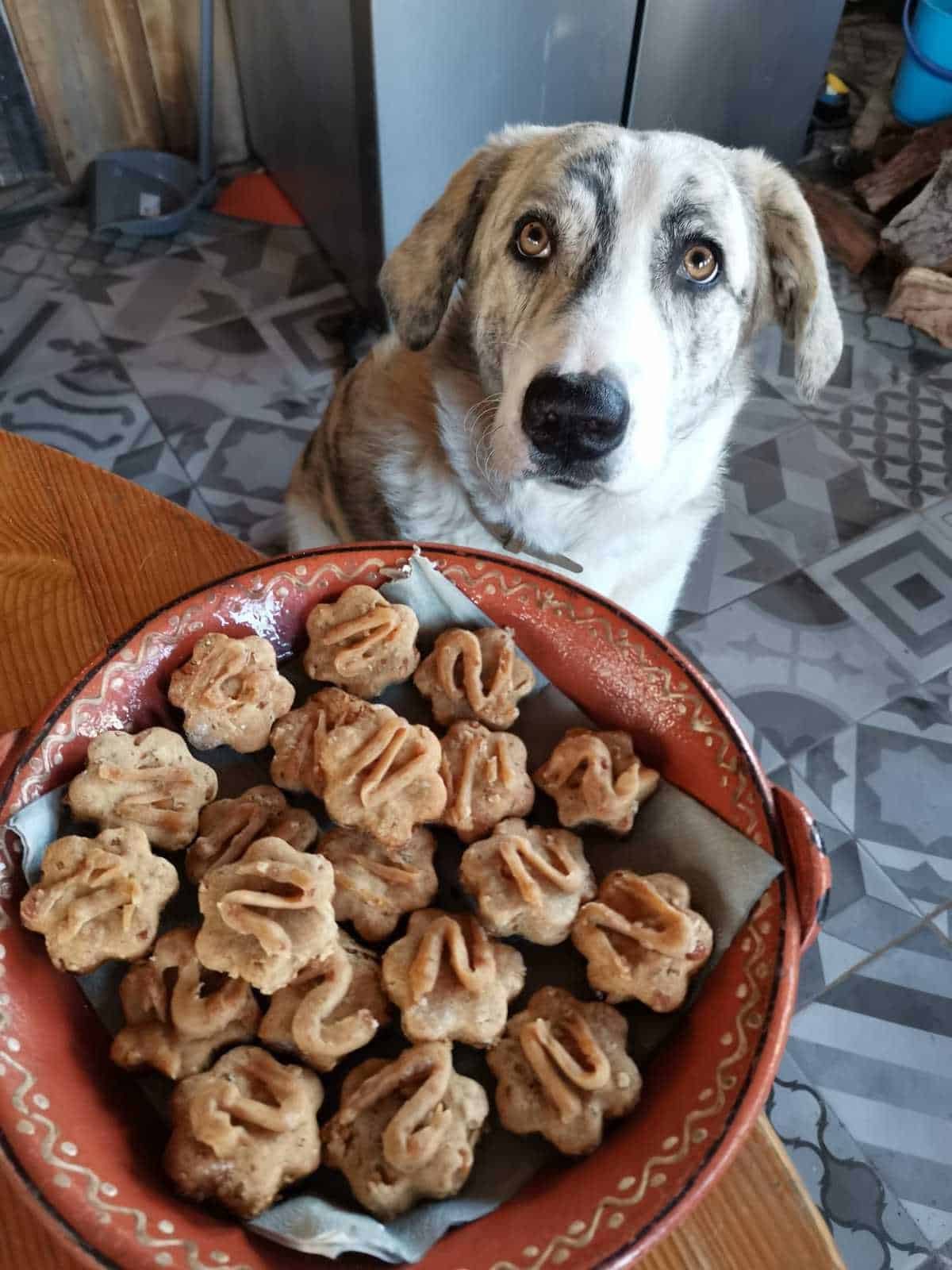 Homemade Dog Treats Recipe - Peanut Butter Dog Treats (How-to Video)