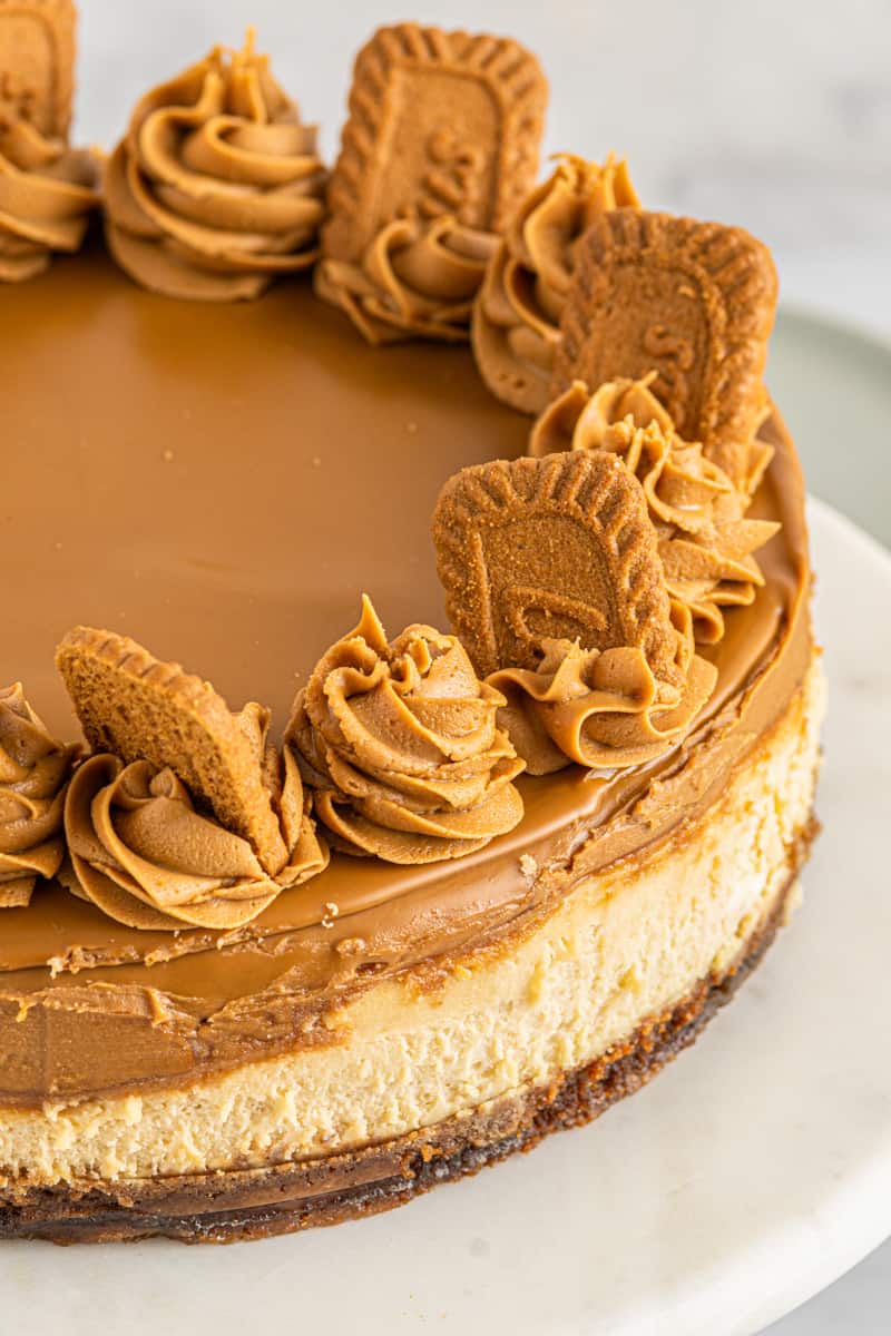 biscoff cheesecake decorated with piped frosting and biscoff cookies