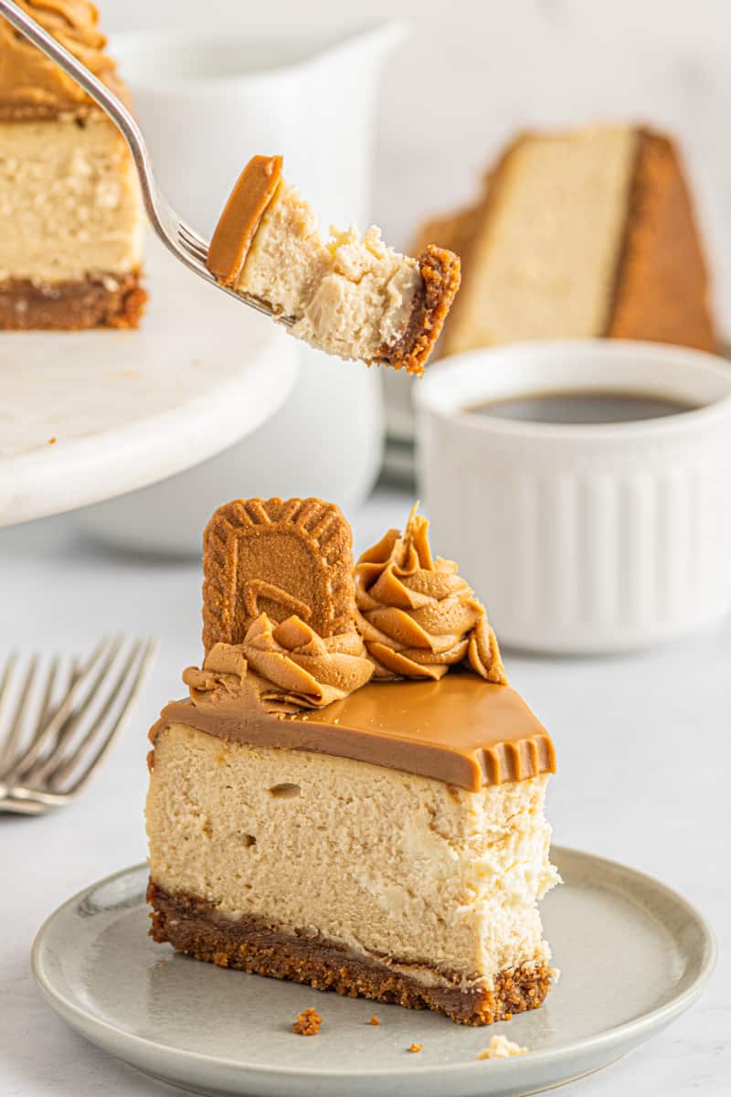 slice of biscoff cheesecake on a plate with a bite taken
