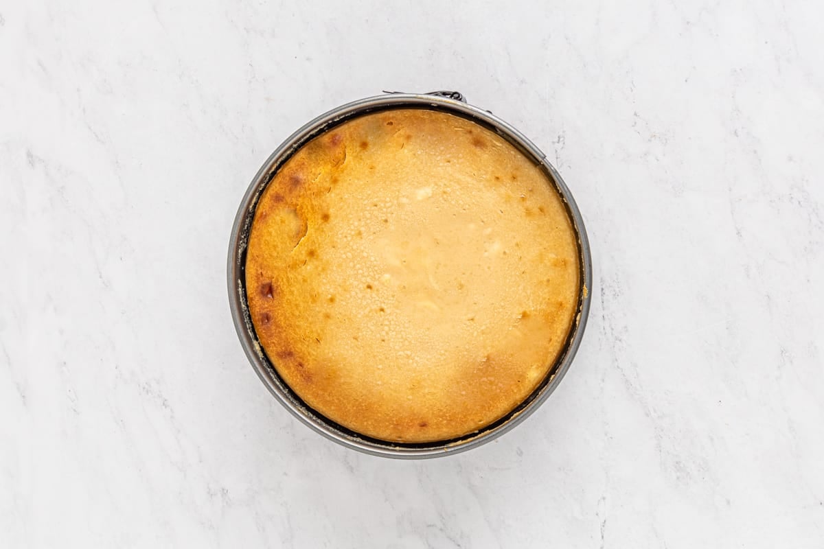 Baked biscoff cheesecake in a springform pan.
