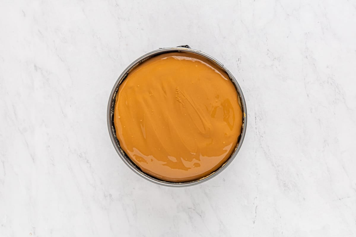 Melted biscoff cookie spread on top of cheesecake in a springform pan.