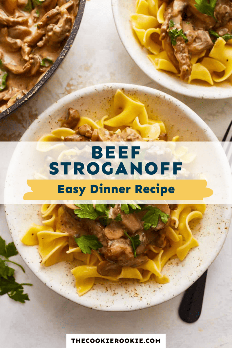 Beef stroganoff recipe for an easy dinner.