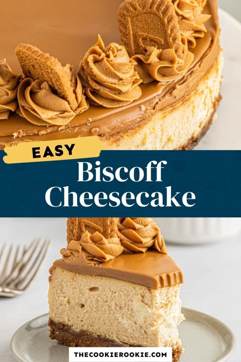 biscoff cheesecake pinterest