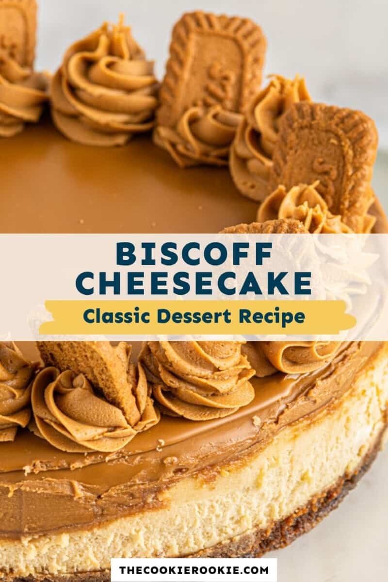 biscoff cheesecake pinterest